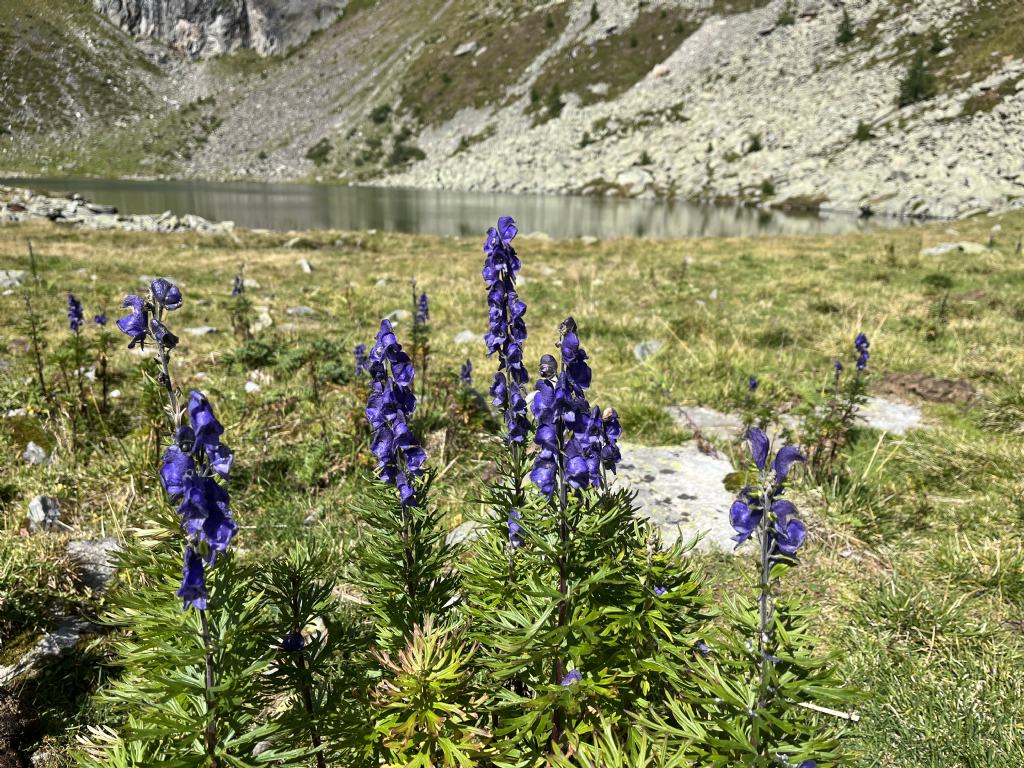 Laghi.......del TRENTINO